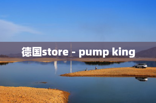 德国store - pump king