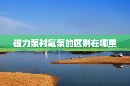 磁力泵衬氟泵的区别在哪里