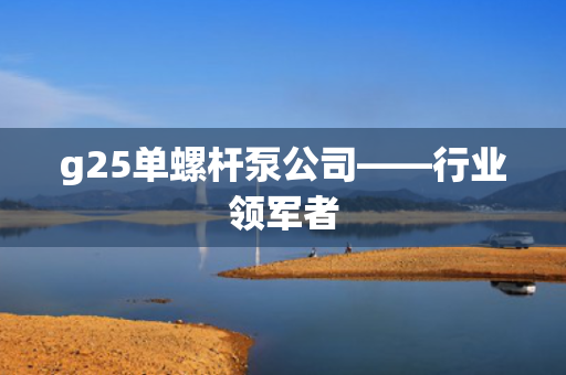 g25单螺杆泵公司——行业领军者