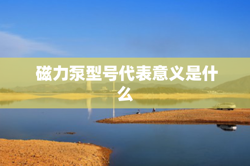  磁力泵型号代表意义是什么