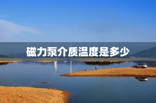磁力泵介质温度是多少
