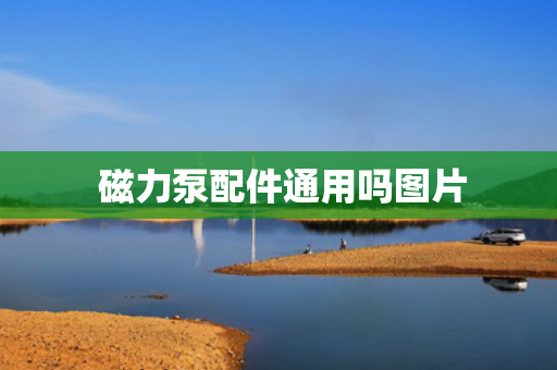  磁力泵配件通用吗图片