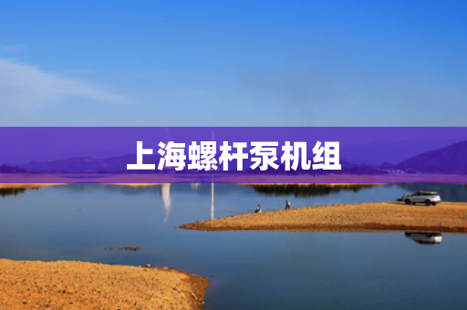 上海螺杆泵机组
