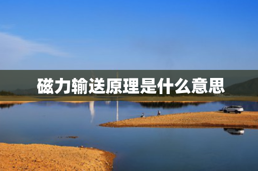 磁力输送原理是什么意思