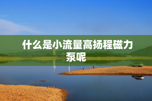  什么是小流量高扬程磁力泵呢