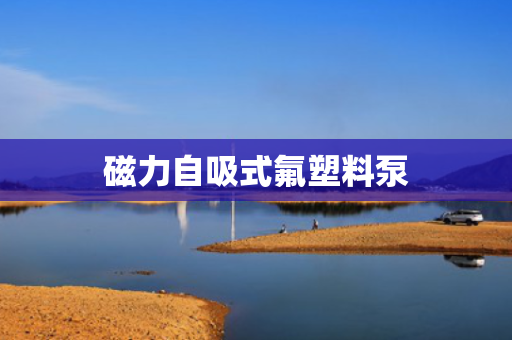 磁力自吸式氟塑料泵
