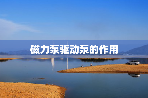 磁力泵驱动泵的作用