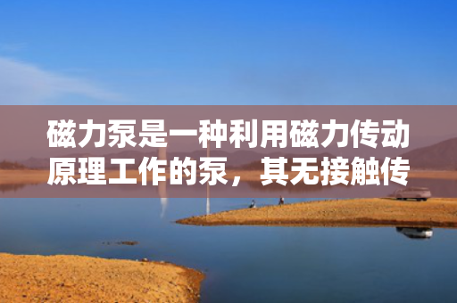 磁力泵是一种利用磁力传动原理工作的泵，其无接触传递扭矩的特点使得它具有许多优点，如泄漏少、维护方便等。磁力泵广泛应用于化工、制药、石油、电子、冶金等领域，成为了许多工艺流程中不可或缺的设备。