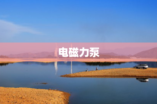 电磁力泵