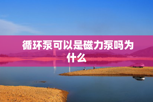  循环泵可以是磁力泵吗为什么