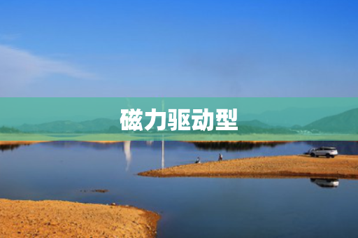 磁力驱动型