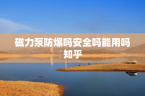 磁力泵防爆吗安全吗能用吗知乎