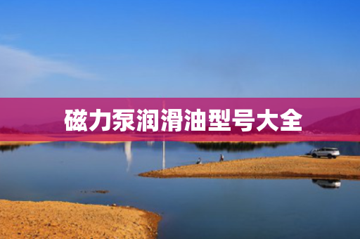  磁力泵润滑油型号大全