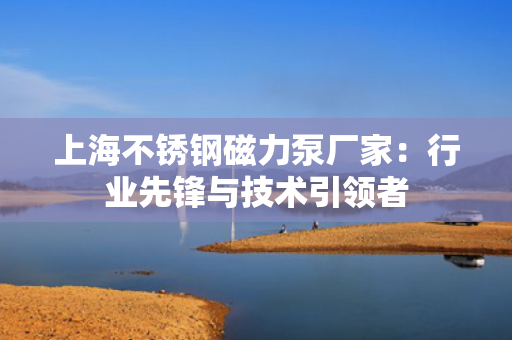 上海不锈钢磁力泵厂家：行业先锋与技术引领者