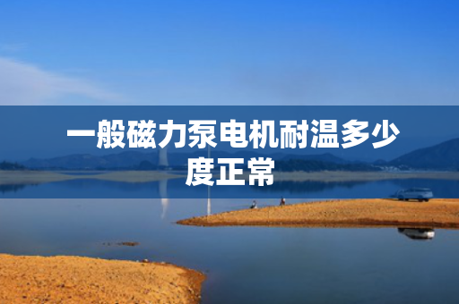  一般磁力泵电机耐温多少度正常
