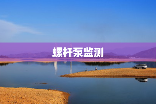 螺杆泵监测
