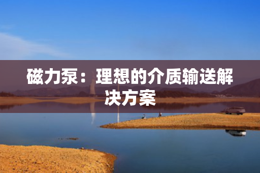 磁力泵：理想的介质输送解决方案