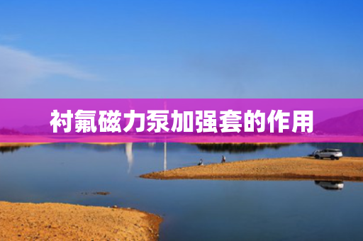 衬氟磁力泵加强套的作用