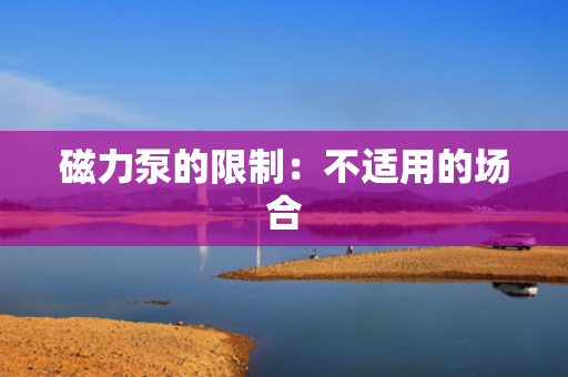 磁力泵的限制：不适用的场合