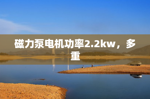 磁力泵电机功率2.2kw，多重