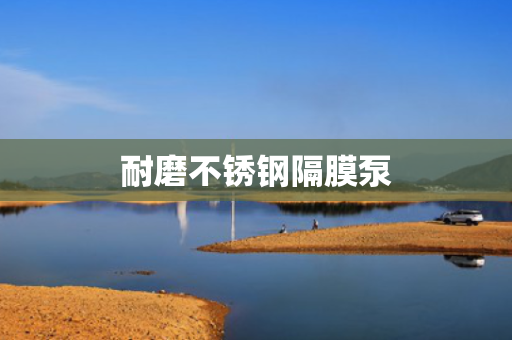 耐磨不锈钢隔膜泵