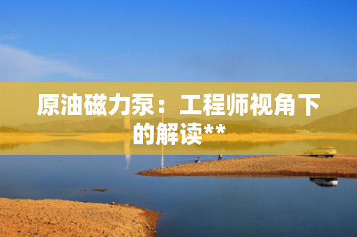 原油磁力泵：工程师视角下的解读**