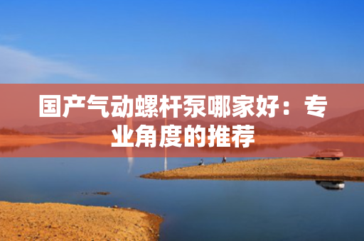 国产气动螺杆泵哪家好：专业角度的推荐