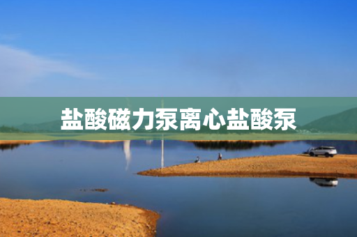 盐酸磁力泵离心盐酸泵