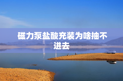  磁力泵盐酸充装为啥抽不进去
