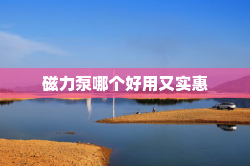 磁力泵哪个好用又实惠
