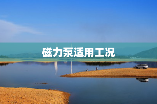 磁力泵适用工况