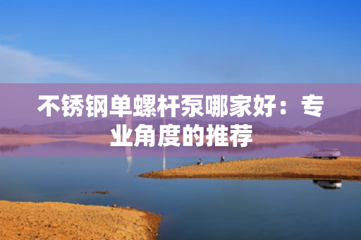 不锈钢单螺杆泵哪家好：专业角度的推荐