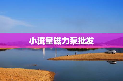 小流量磁力泵批发