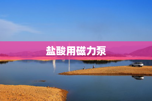 盐酸用磁力泵