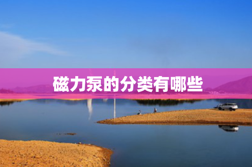  磁力泵的分类有哪些