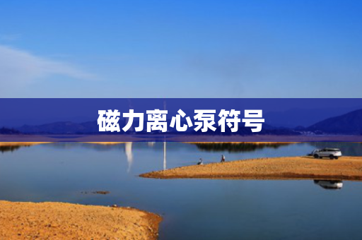 磁力离心泵符号