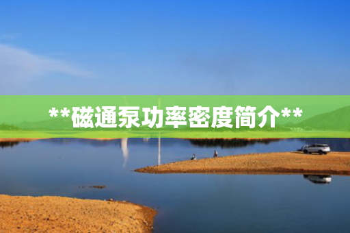 **磁通泵功率密度简介**