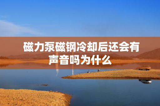  磁力泵磁钢冷却后还会有声音吗为什么
