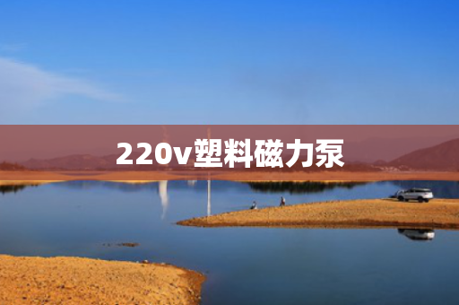 220v塑料磁力泵