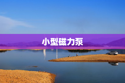 小型磁力泵