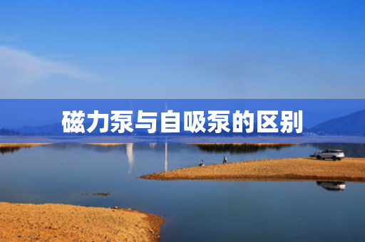 磁力泵与自吸泵的区别