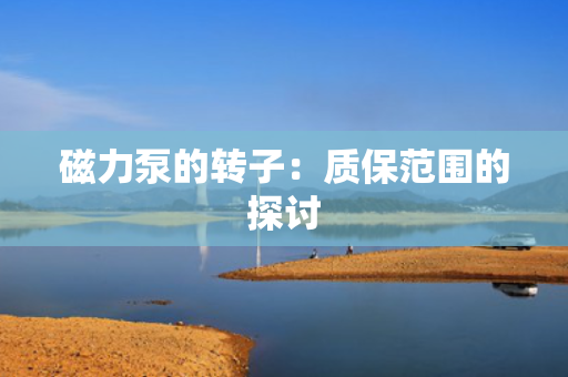 磁力泵的转子：质保范围的探讨