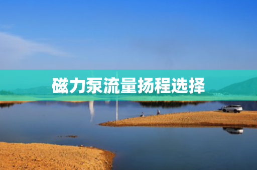 磁力泵流量扬程选择