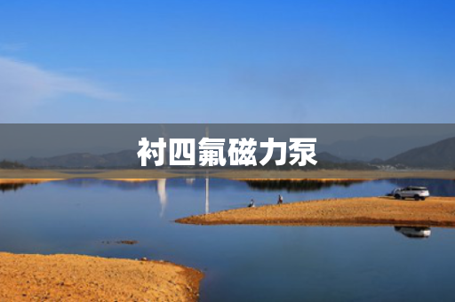 衬四氟磁力泵