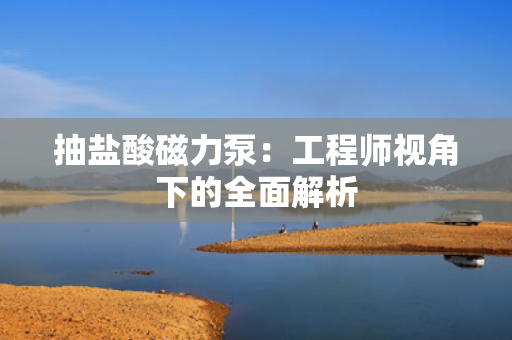 抽盐酸磁力泵：工程师视角下的全面解析