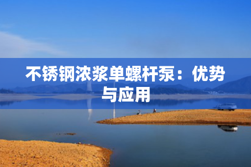 不锈钢浓浆单螺杆泵：优势与应用
