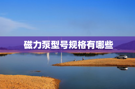  磁力泵型号规格有哪些