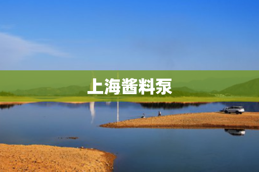 上海酱料泵