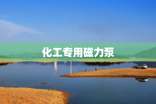 化工专用磁力泵
