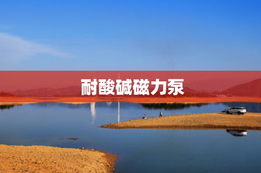  耐酸碱磁力泵